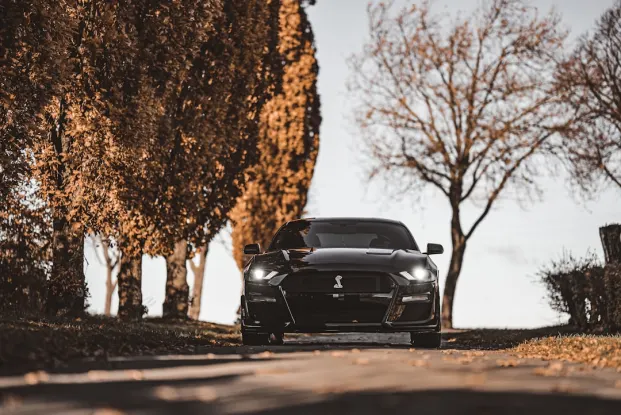 HippoZino Cazino Cazinou Aplicație Android/iOS